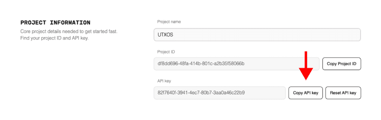 Copy API key